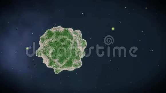 从微观角度对细菌进行抽象动画视频的预览图