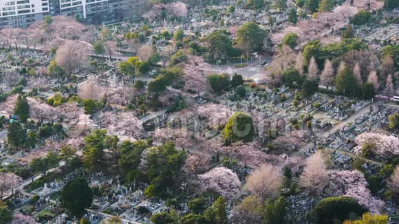 日本东京青山墓地视频的预览图