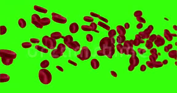 3D绘制动画红细胞在动脉在体内流动医疗人体保健在色度键绿色屏幕视频的预览图
