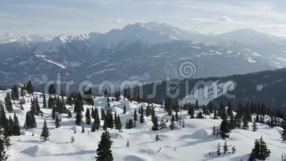 冬季全景树木雪景空中4k视频的预览图