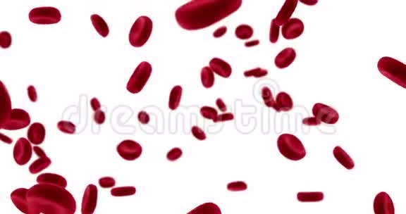 3D渲染动画红细胞在动脉内流动身体内流动医疗保健上的白色视频的预览图