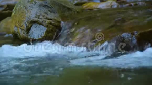 森林山河视频的预览图