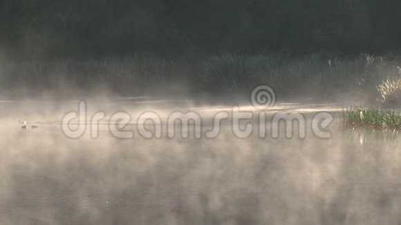 新泽兰的马修森湖视频的预览图