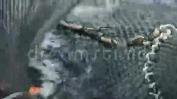 农业捕捞的虾从池塘视频的预览图