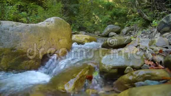 森林山河视频的预览图
