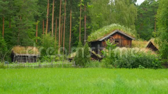 农场有美丽的诺瓦吉安村绿草屋顶挪威4K视频的预览图