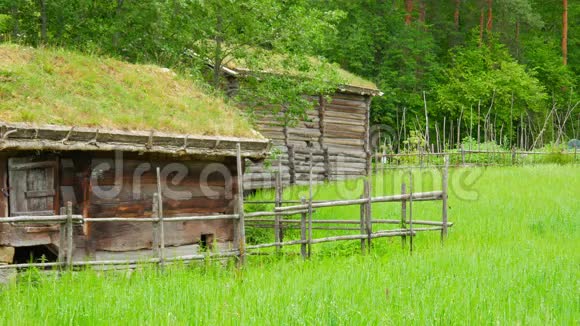 农场有美丽的诺瓦吉安村绿草屋顶挪威4K视频的预览图