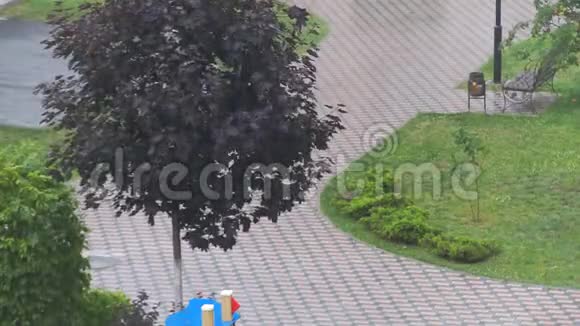 城市公园里的雨视频的预览图