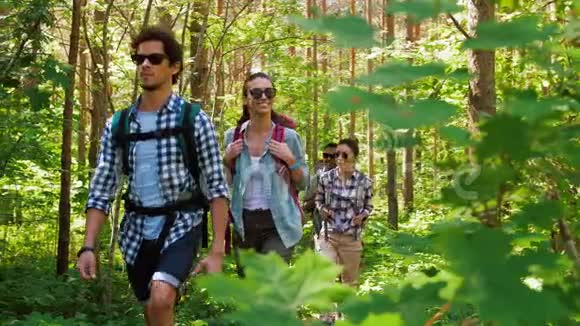 带背包的朋友在森林里徒步旅行视频的预览图