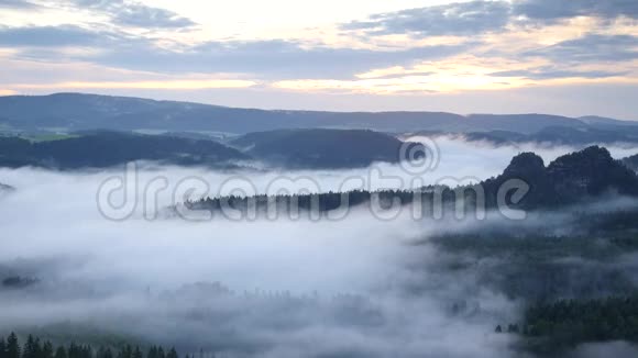 春天雾蒙蒙的早晨森林景观雄伟的山峰划破了灯光的薄雾深谷充满了五颜六色的雾和山丘视频的预览图