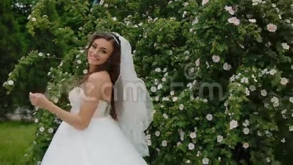 美丽的新娘摆着结婚花束视频的预览图