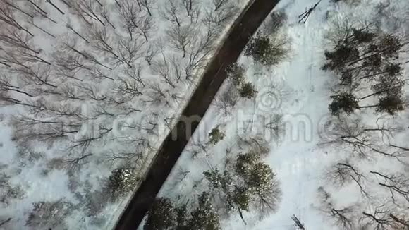 雪山之路视频的预览图
