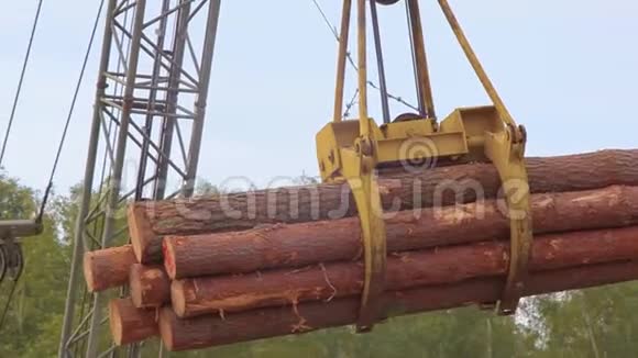 木工工厂的工作过程卸原木视频的预览图