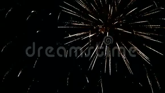 夜空中的新年烟火视频的预览图