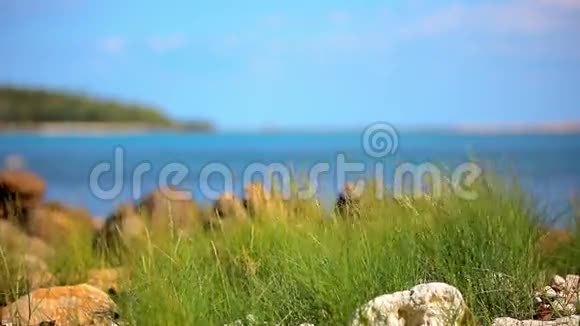 沙丘上的草石头和蔚蓝的海水视频的预览图