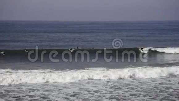 加州亨廷顿海滩冲浪视频的预览图