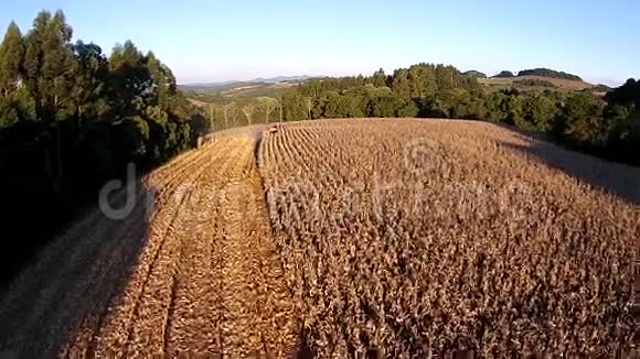 空中射击收割玉米田视频的预览图