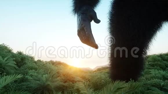 丛林里的大猩猩和直升机史前动物和怪物真实的皮毛和动画4K渲染视频的预览图
