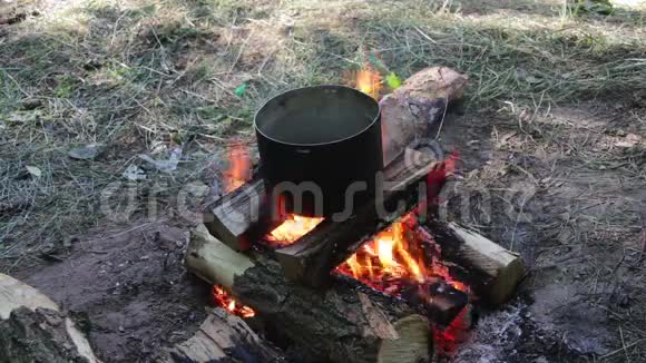 在旅游营地篝火旁烹饪食物视频的预览图