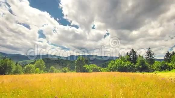 绿色的田野和多云的天空时间视频的预览图