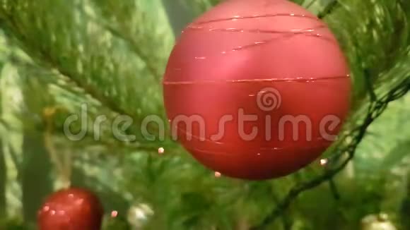 新年绿圣诞树玩具红球视频的预览图