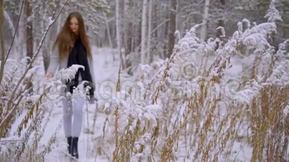 美丽的年轻女子正在冬天的公园里户外散步慢动作年轻女性时尚冬季画像视频的预览图