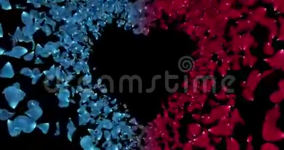 红蓝玫瑰花花瓣心形阿尔法Matte占位环4k视频的预览图