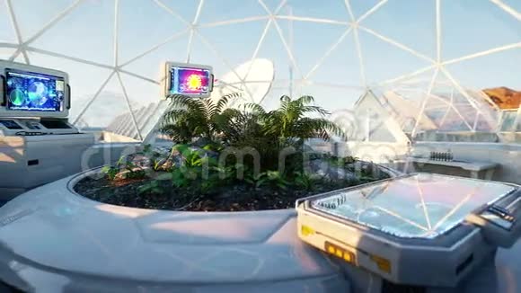 空间实验室科幻室内火星上的生命外星球太空中的植物视频的预览图