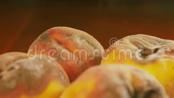 烂桃子用霉菌和蠕虫4k特写视频的预览图