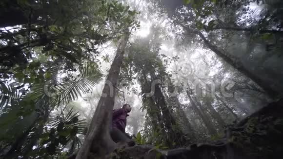 丛林里的小女孩视频的预览图