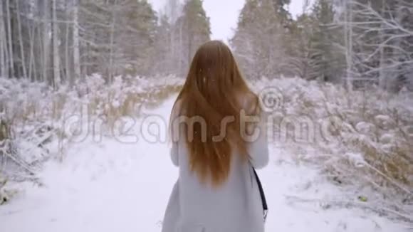 美丽的年轻女子正在冬天的公园里户外散步慢动作年轻女性时尚冬季画像视频的预览图