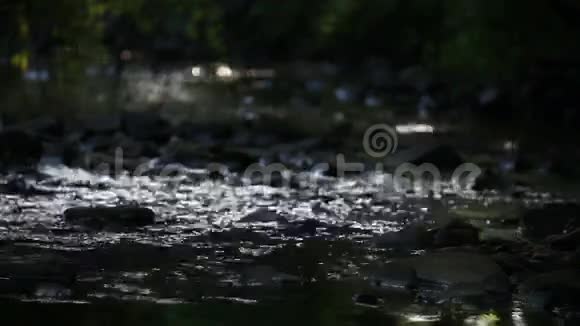 河流流过岩石的特写镜头视频的预览图