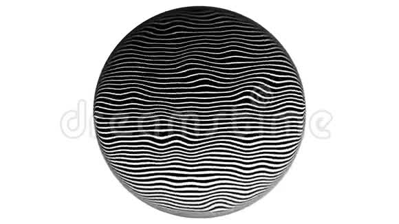 斑马线半色调图案纹理移动动画背景4k白色背景圆圈视频的预览图