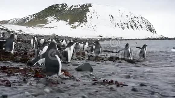 南极洲的山景视频的预览图