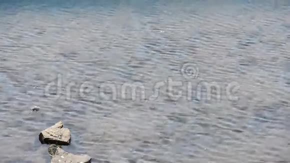 清澈透明的浅水湾火花湖视频的预览图