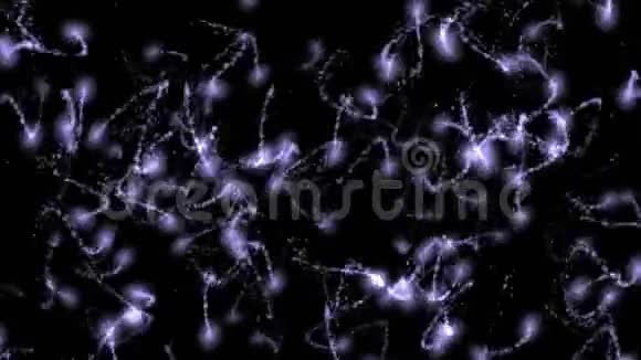 抽象粒子烟花微生物细菌孢子精子微纳米离子视频的预览图
