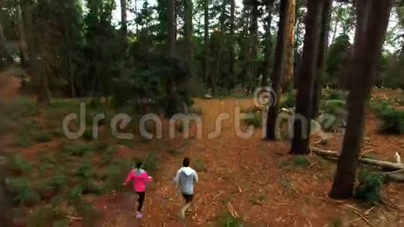 在森林小径上慢跑视频的预览图