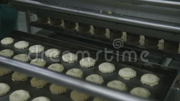饼干制作工艺工业面团工厂输送机视频的预览图