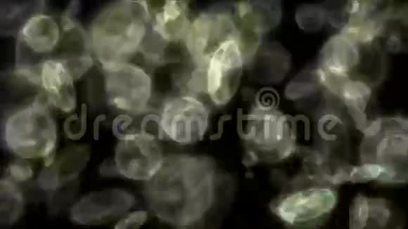 浮游生物透明细胞显微镜下的微小微生物视频的预览图