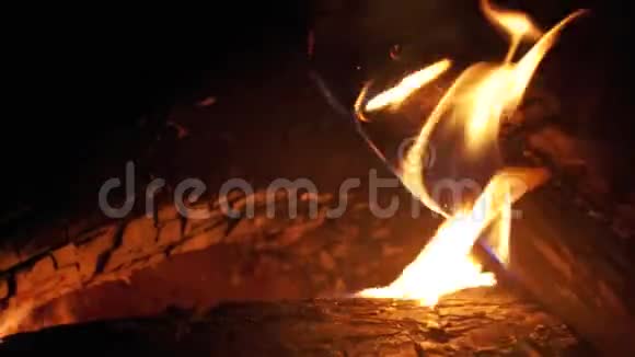 夜晚的篝火视频的预览图