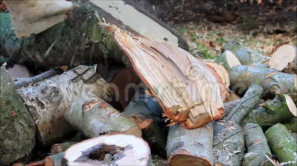 切割木材电锯煤气锯木柴火视频的预览图