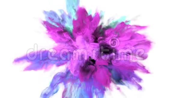 彩色爆炸彩色紫粉色烟雾爆炸流体粒子阿尔法哑光视频的预览图