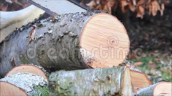 工人切割锯木用气链锯视频的预览图