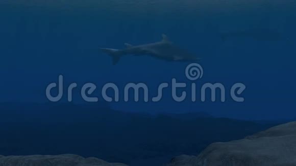 计算机生成的鲨鱼在深海中围绕被指控的猎物盘旋视频的预览图