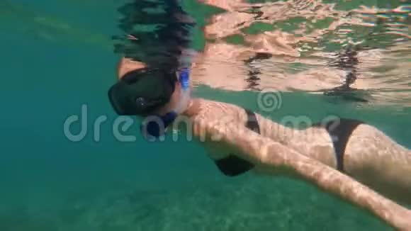 一个年轻女子在美丽的海洋里浮潜潜水的慢镜头视频的预览图