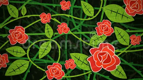 红玫瑰灌木圈视频的预览图