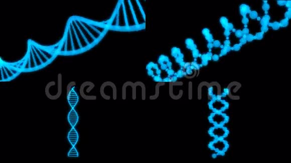 4个视频剪辑DNA全息图视频的预览图