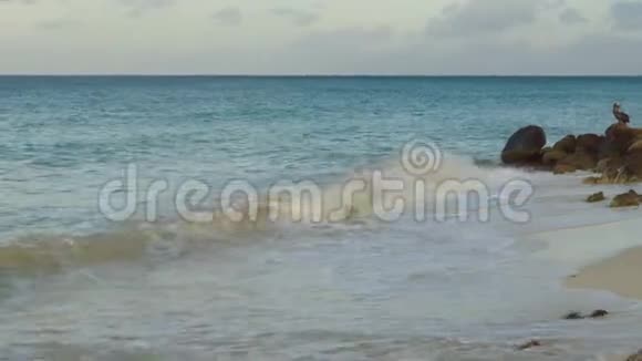 阿鲁巴的自然美神奇的石头景观和蓝色的海洋视频的预览图