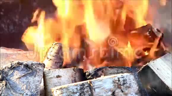 燃烧的火桦木视频的预览图