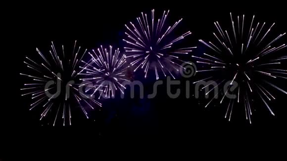 许多闪烁的五颜六色的烟花以黑色背景庆祝新年视频的预览图